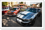 Foto von Dejan Marinkovic - AmericanMuscle.de Foto von Dejan Marinkovic - AmericanMuscle.de