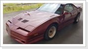 1989er Pontiac Firebird TransAM GTA, V8, 5,7l, 235 PS 1989er Pontiac Firebird TransAM GTA, V8, 5,7l, 235 PS
